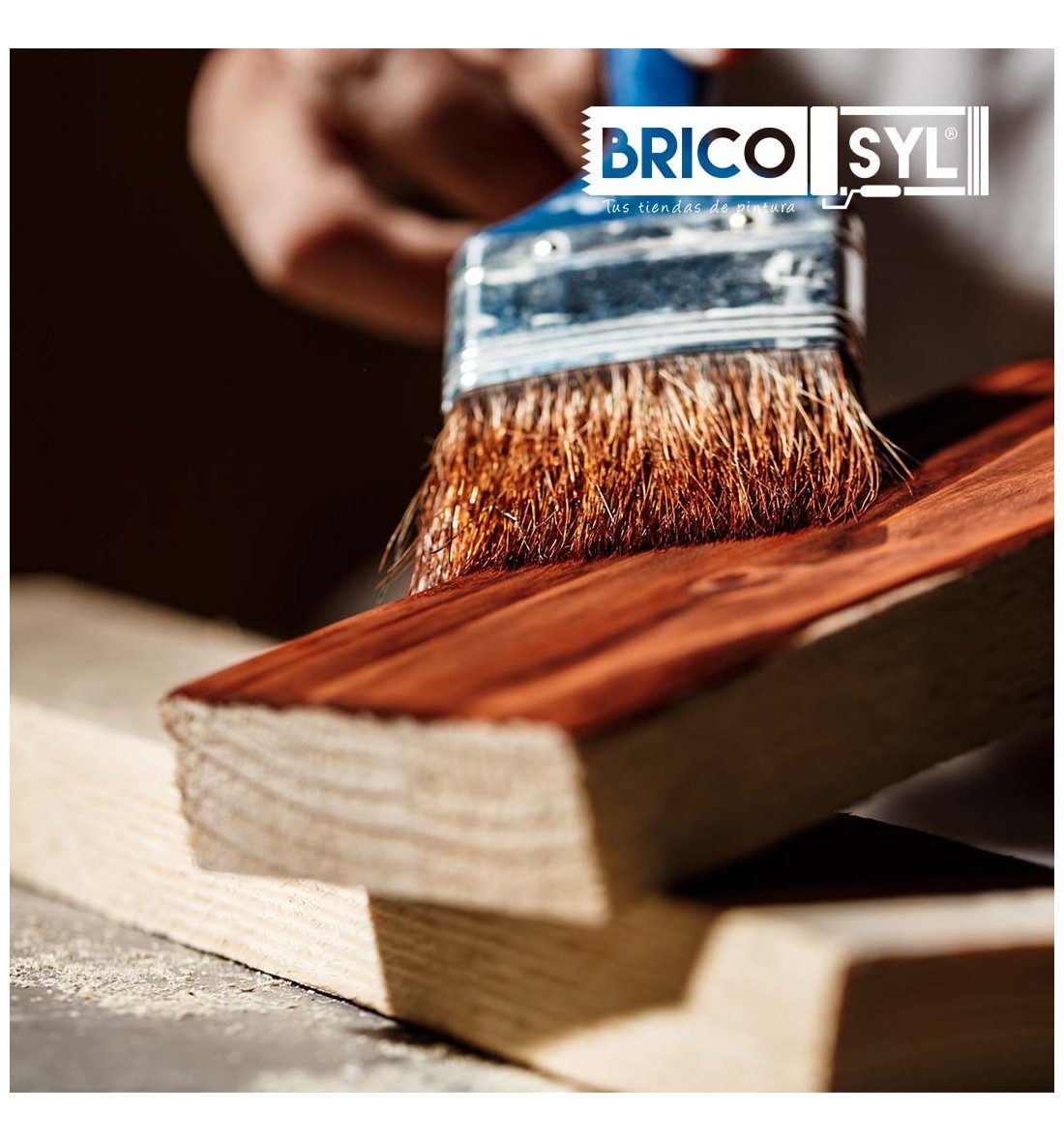 La guía definitiva: ¿Qué pintura utilizar para pintar sobre madera?